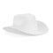 White Cowboy Hat - Felt Cowboy Hats for Men, Women, Western Cowgirl Hat for Costume Birthday Bachelorette Party (Adult Size)